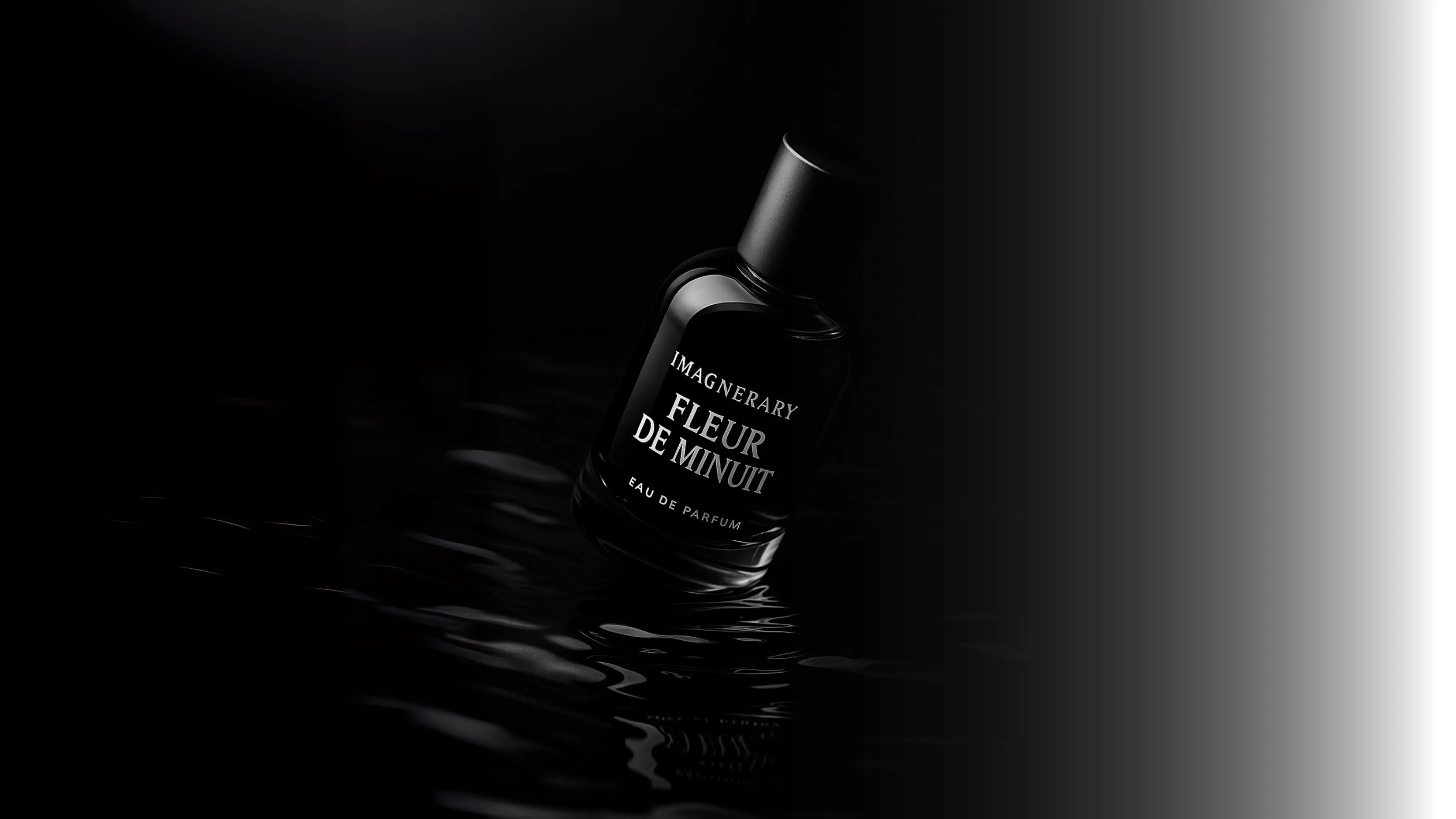 Product Visualization